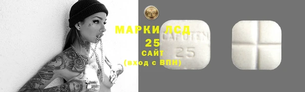 СК Медногорск